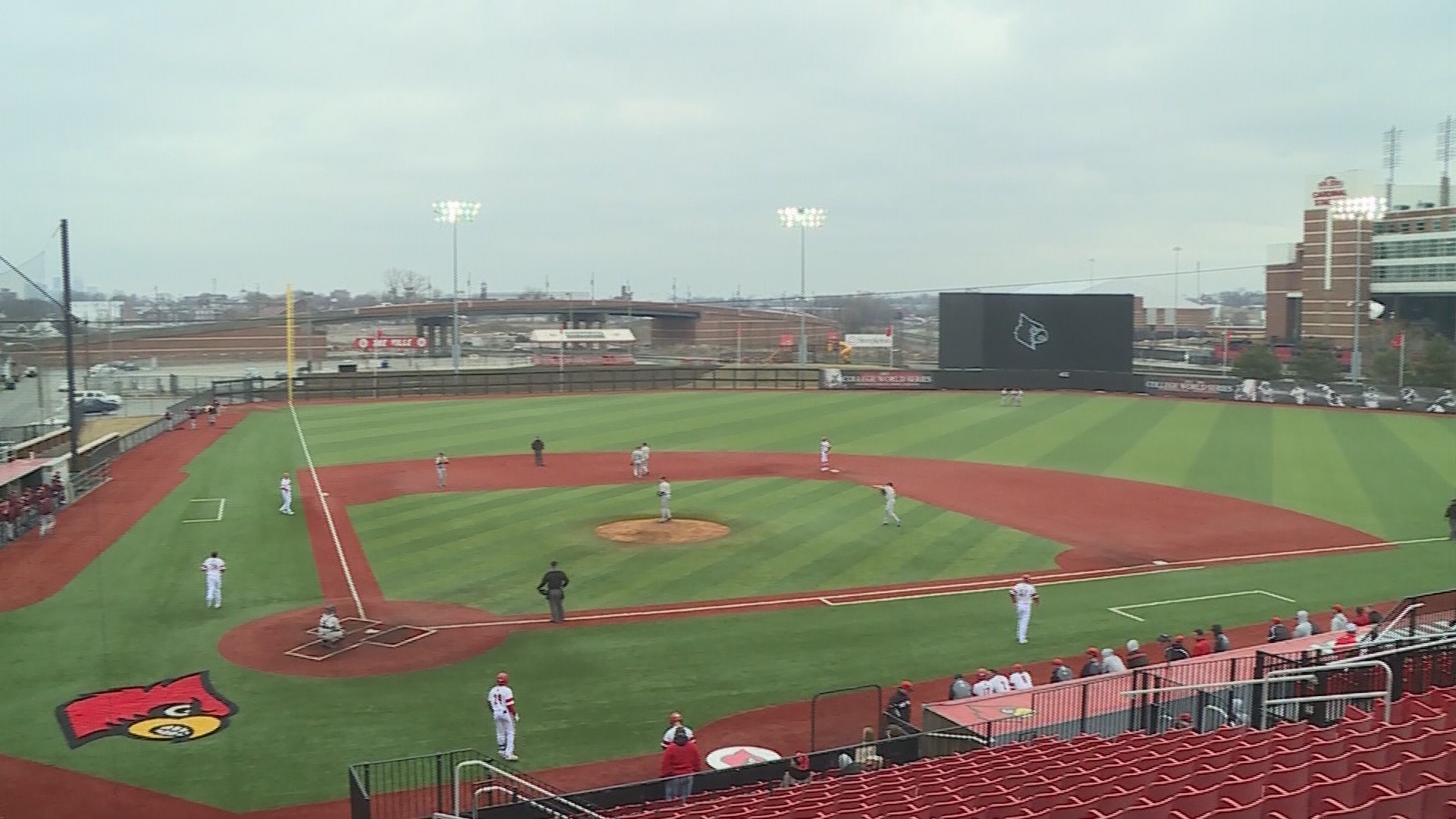 UofL Baseball Player Named All-American