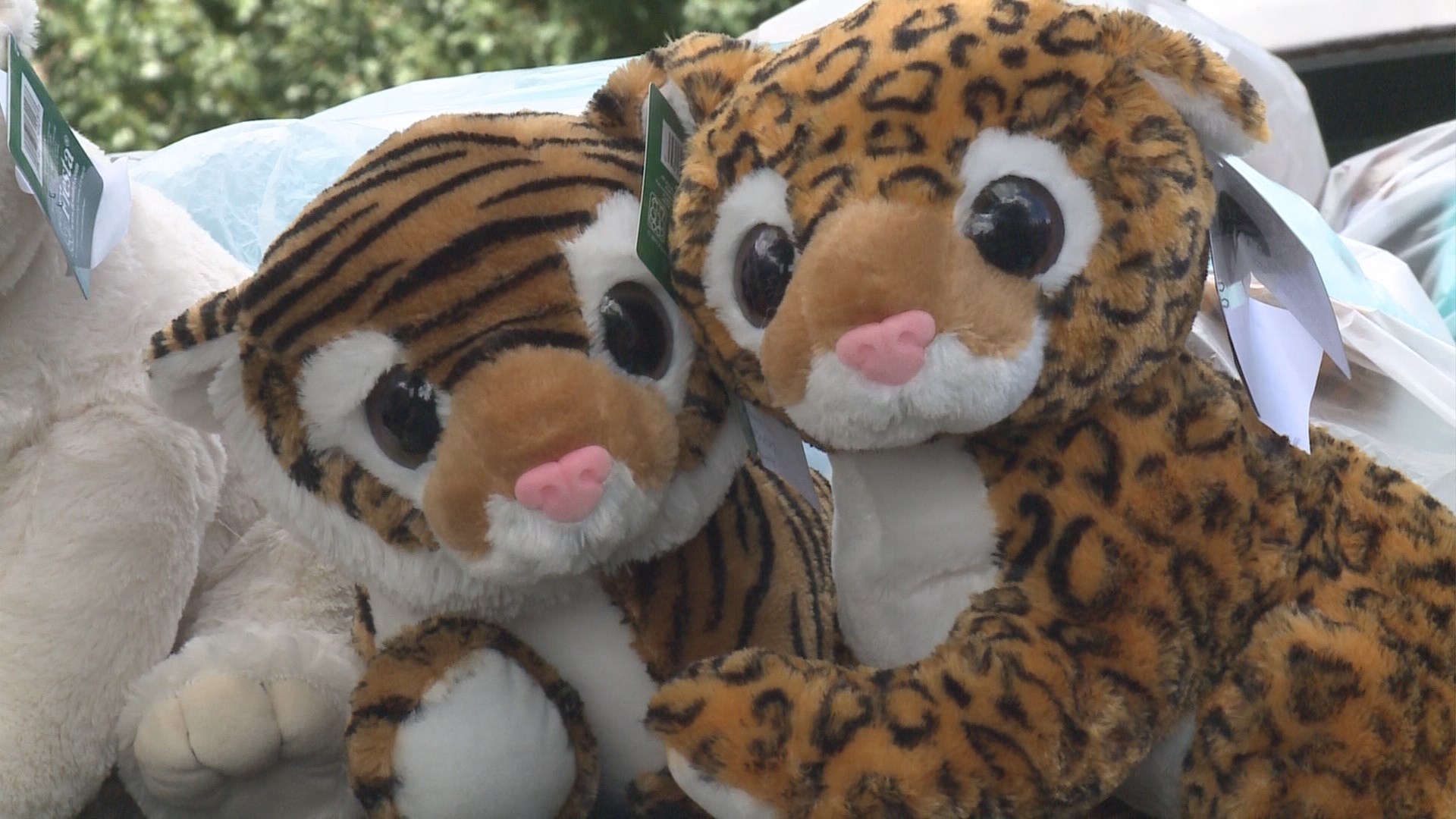 Lou. Zoo sends 225 stuffed animals to Kosair Charities | 0