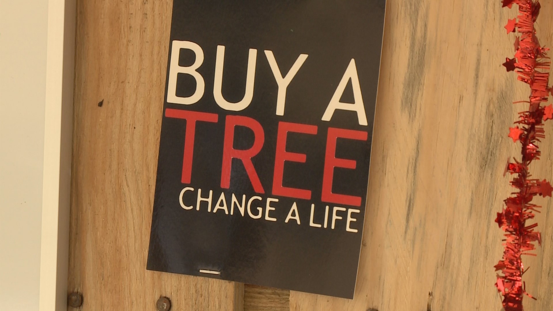 Church selling trees, raising money to stop child sex trafficking |  whas11.com