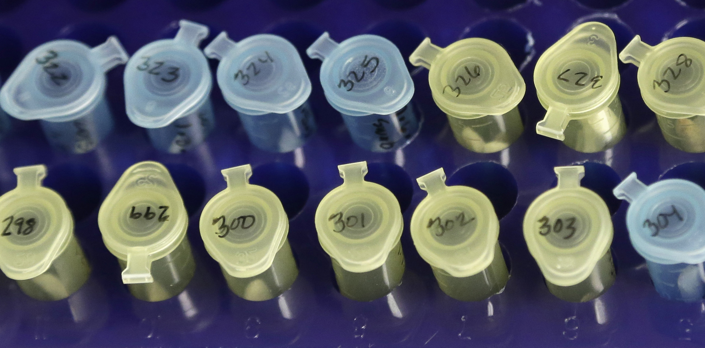 'Tool kit' announced to aid law enforcement with backlogged rape kits ...
